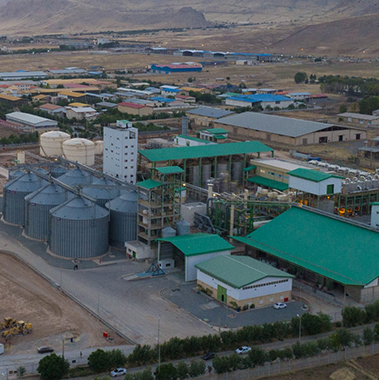 Refinery & Petrochemical Plants